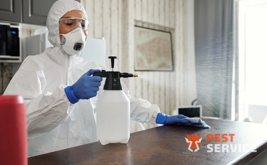 Дезинфекция в Тайшете